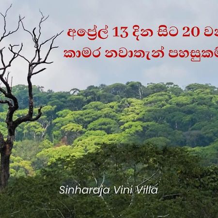 Sinharaja Vini Villa Денияя Екстериор снимка