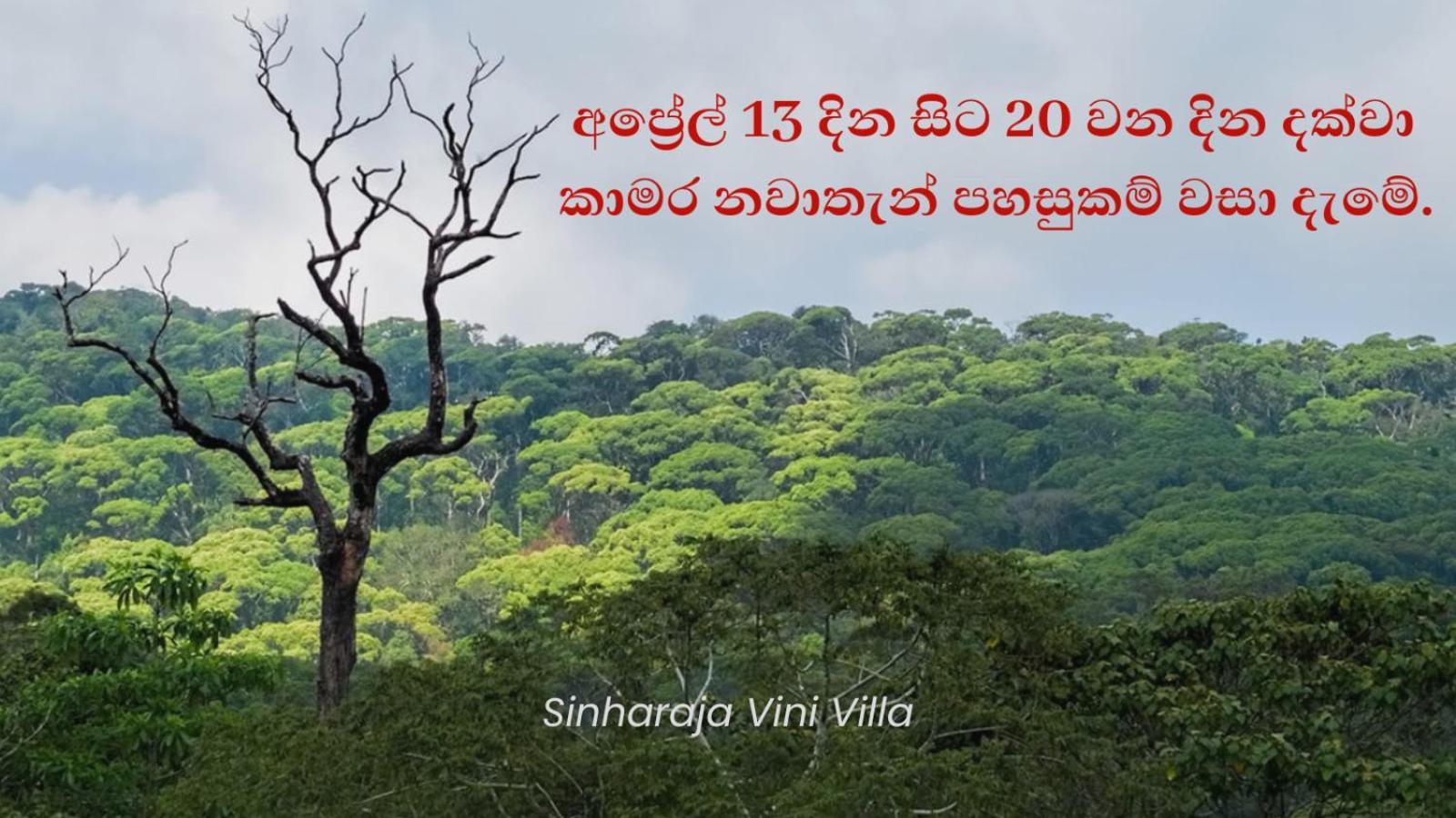 Sinharaja Vini Villa Денияя Екстериор снимка
